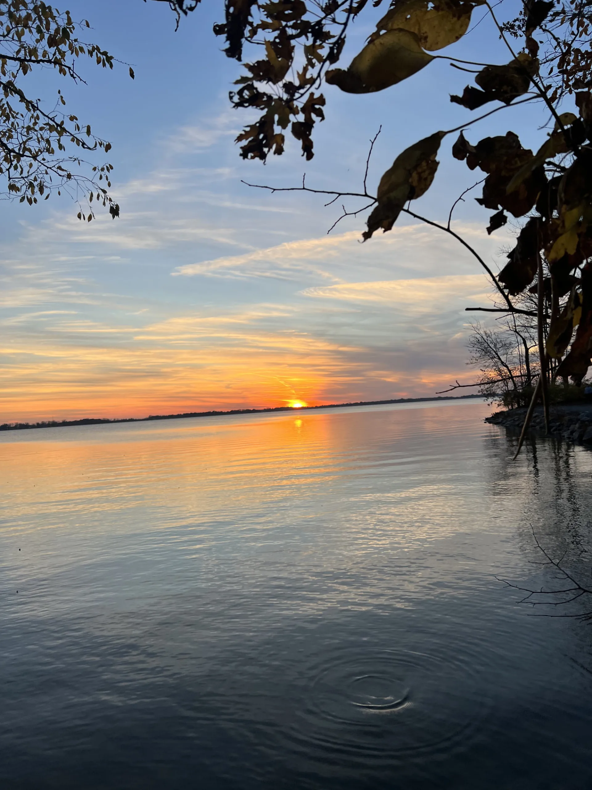 Open water at Indian Lake at sunset, the shoreline curving away toward a low treeline, with a ripple ring in the foreground water.